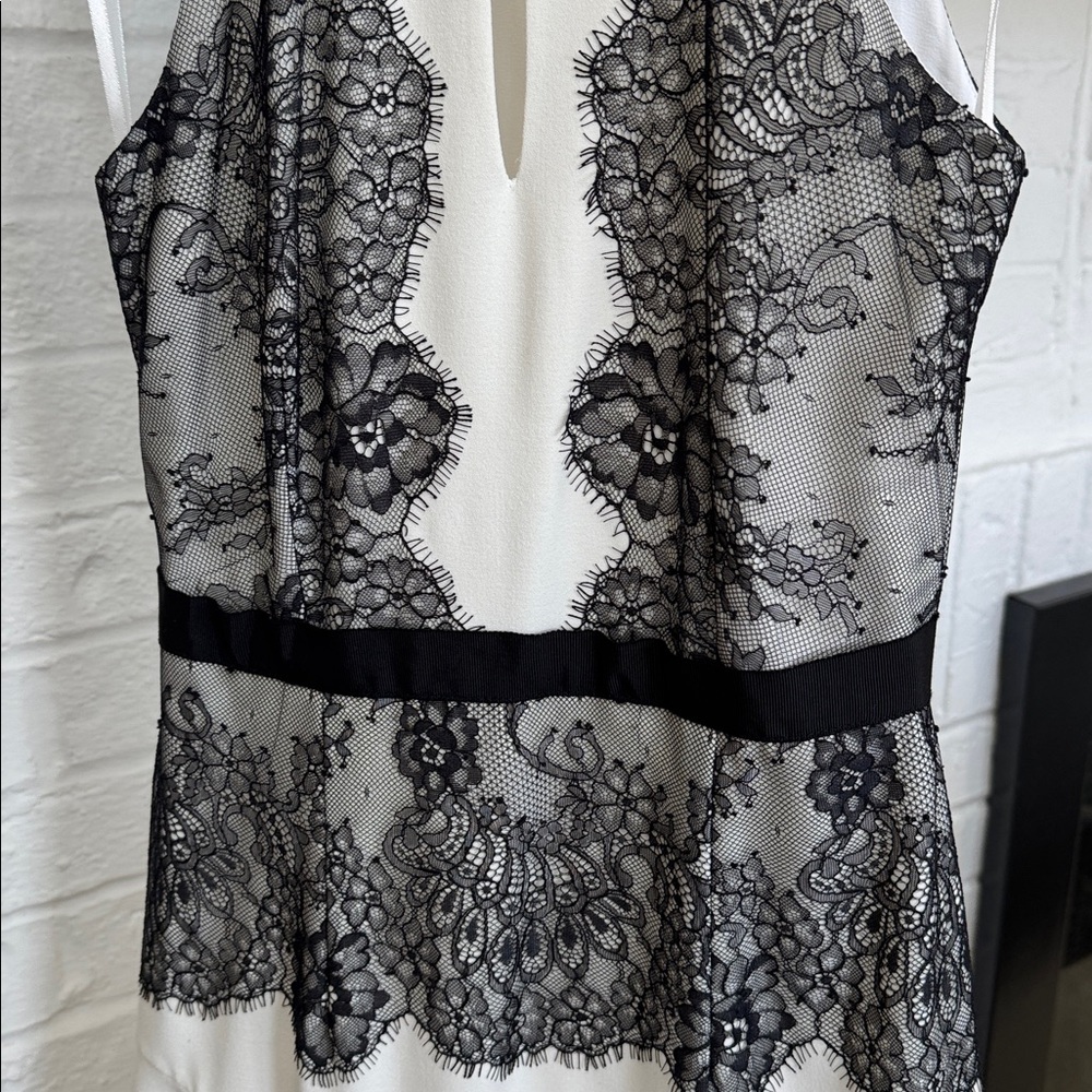 BCBGMaxAzria Ivory Dress with Black Lace Overlay - Picture 3 of 9